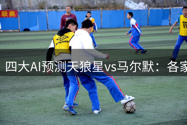 四大AI预测天狼星vs马尔默：各家均认为主队小胜对手