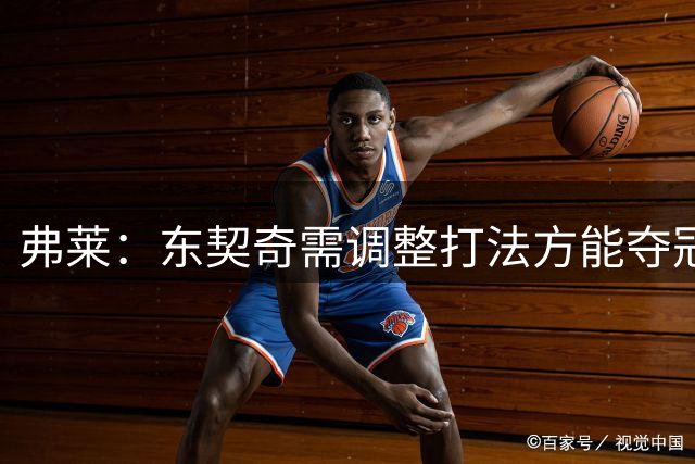 弗莱：东契奇需调整打法方能夺冠